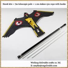 Résultat de recherche d'images pour "bird scarer from china"