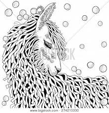 All we ask is that you recommend our content to friends and family and share your masterpieces on your website, social media profile, or blog! Llama Coloring Book Vector Photo Free Trial Bigstock
