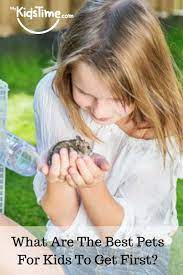 African dwarf frog · 3. What Are The Best Pets For Kids To Get First Best Pets For Kids Animals For Kids Small Pets For Kids