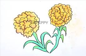 How To Draw Flower Drawings Step By Step For Kids Flower Drawing Drawings Elementary Art