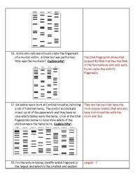 Dec 29, 2019 · a dna health test can give you an inside look at your genetics from the comfort of your own home, for less than a third of the price you would pay to have tests done at the doctor's office. Forensic Dna Fingerprinting Test By Schilly Science Tpt