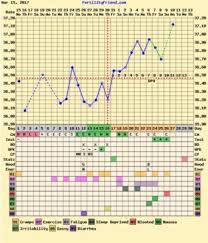 Bbt Charts Which Were A Bfp Getting Pregnant Babycenter