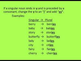 Common core state standards texas essential knowledge and skills (teks) virginia standards of learning (sol) bc performance standards alberta program of studies the australian. 5th Grade Singular And Plural Nouns Youtube
