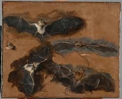 Alwaysalbrecht Pop Art Illustration Animal Paintings Art Thou