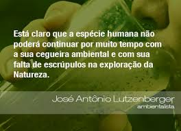 Seja a mudança que você deseja ver no mundo, cada um pode fazer a diferença. Frases Do Meio Ambiente Meio Ambiente Ambiente Pensamento Verde