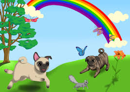 I do feel better when i am taking action on something, whether it's something i'm worried about or a goal i'd like to achieve. Rainbows Butterflies And Pugs By Thedanipants On Deviantart
