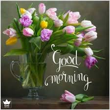 Each & every morning without a good morning wishes to your loved ones is like you met them without talking. 155 Beautiful Good Morning Images Hd Latest Update 17 June 2021