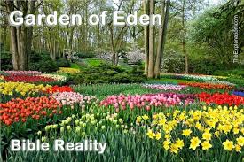 So, having some boundaries, it means that the garden of eden is somewhere in mesopotamia. Garden Of Eden Represents Much More Than A Garden By Sam Kneller The Explanation Medium