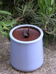 Creme Au Chocolat Au Sirop D Agave Et Agar Agar Sans Oeufs Ni Beurre Ni Creme Aux Portes Du Paradis Creme Au Chocolat Agar Agar Sirop De Chocolat