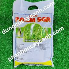 Palm 5GR