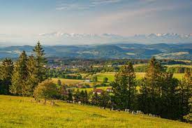From wikipedia, the free encyclopedia. Gemeinde Rickenbach Willkommen Im Hotzenwald