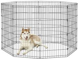 Dog fence for rv camping. Camping With Dogs Best Portable Dog Fence Outdoorsy Com
