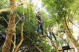 We don't charge any commission, so customers always get the best price. Malaysia S Longest Canopy Walk At The Orchard Resort Is Simply Thrilling It Is A Perfect Spot