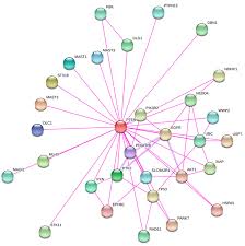 Come see us at, 3419 industrial dr, hobbs nm. Cancers Free Full Text Multifaceted Regulation Of Pten Subcellular Distributions And Biological Functions Html
