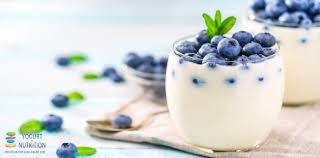 Le Yaourt A T Il Un Effet Dans Le Diabete De Type 2 Yogurt In Nutrition