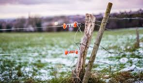 Electric fences allow you to keep animals like dogs or cattle in an enclosed space. Electric Fencing The Economical Option For Your Farm Hobby Farms