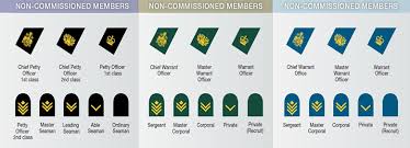 canadian military rank structure for the air force navy and