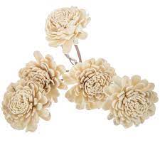 Good condition great for a wedding, in a bedroom or office. Natural Sola Zinnia Stems Hobby Lobby 1324557