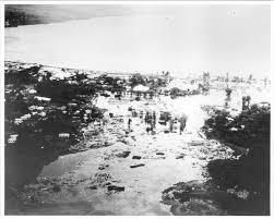 The original settlers were hawaiian, but in the late 1800s many chinese immigrants came to live there. Historic Tsunamis In Hawaii Timeline Timetoast Timelines