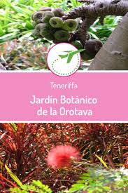 Jardin Botanico De La Orotava Der Botanische Garten In 2020 Teneriffa Puerto De La Cruz Botanischer Garten