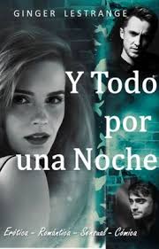 Y todo por una noche