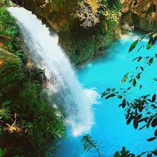 Kawasan Falls In Alegria Cebu Philippines Philippines Travel Philippines Philippines Beaches