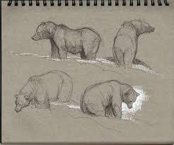 Aaron Blaise Live Bears Animal Drawings Gesture Drawing