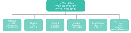 Worldcare Wellness Center Will Feature Org Chart Graphic