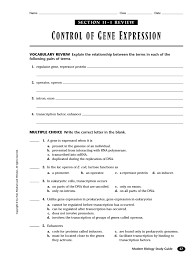 Control Of Gene Expression Doral Academy Preparatory