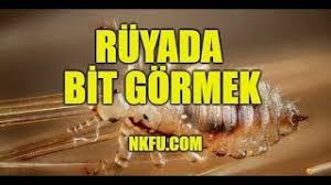 Ruyada Bit Gormek Bitlenmek Ne Anlama Gelir Youtube