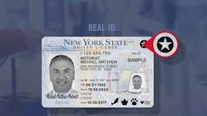 Así luce la lucencia de conducir en Nueva York | Foto: Diario NY   