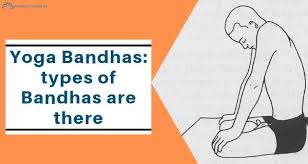 We did not find results for: Yoga Bandhas How Many Types Of Bandhas Are There
