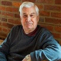 Albert D'Agostino Obituary