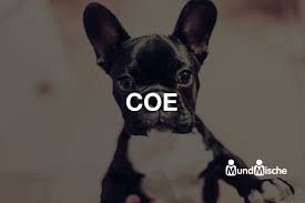 We are a nonprofit, global membership organization that upholds the highest standards in specialty coffee through our program cup of excellence. Coe Bedeutung Und Definition Mundmische De