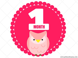Even More Free Printable Month Signs For Baby Super Adorable Great For Monthly Milestone Pictures Bonus Inspirational Wall Art Signs 2016 Phil And Mama