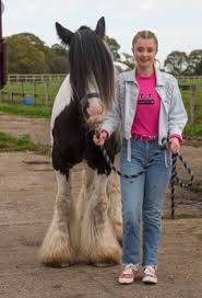 Reserve a table at a rienda suelta, la plata on tripadvisor: 30 Free Rein Ideas Free Rein Tv Show Reining Free Rein Season 2