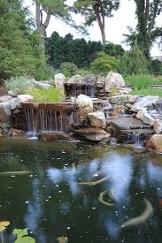See more ideas about koi pond, koi, pond. The Essentials Of Koi Pond Design Maintenance In Northern Virginia