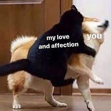 101 Funny I Love You Memes To Share With People You Like Cute Love Memes Cute Memes Love You Meme