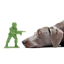 Doca Pet Dogface Army Man Chew Toy Dog Friends Dog Face Dog Milk