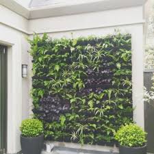 Vertical Gardens Australia Verticalgardensaustralia Instagram Photos And Videos Vertical Garden Diy Vertical Garden Big Indoor Plants