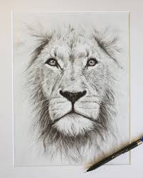 Katie Artside Lion Pencil Drawing Pencildrawings Graphitedrawing Liondrawing Grafika Risunokkarandasha Pencil Drawings Landscape Pencil Drawings Drawings