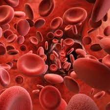 Hemofilia este o boală ereditară, transmisă de obicei de mamă. Hemofilia Medlineplus En Espanol