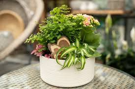 Bright Pink Kalanchoe And Lush Lime Green Fern Fronds Create A Forest Frenzy In This Design Paired With O Indoor Tropical Plants Dish Garden Container Flowers