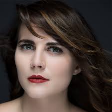 C And C Grids Buff 24" White Foldable Beauty Dish Compatible With Paul C  Beauty Dish Vs Softbox