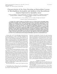 Are you looking for someone to write cover letter grade 9 1090l your essay for you? Pdf Characterization Of The Gene Encoding An Extracellular Laccase Of Myceliophtora Thermophila And Analysis Of The Recombinant Enzyme Expressed In Aspergillus Oryzae