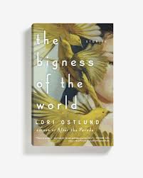 Designer Elena Giavaldi Cover Art Meghan Howland Scribner Art Direction Book Cover Design Art