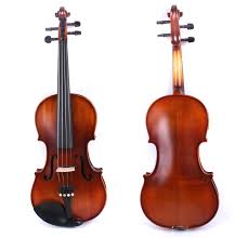 Image result for Viola eminii