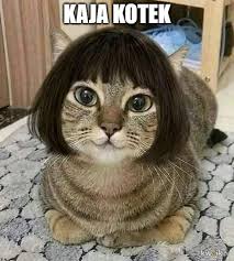 Zobacz najlepsze memy o kai godek! Godek Najlepsze Memy Zdjecia Gify I Obrazki Kwejk Pl
