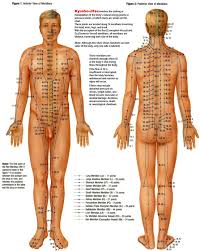 30 You Will Love Acupressure Body Chart