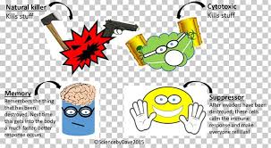 Regulatory T Cell Cytotoxic T Cell Cancer Cell Natural Killer Cell Png Clipart Brand Cancer Cancer